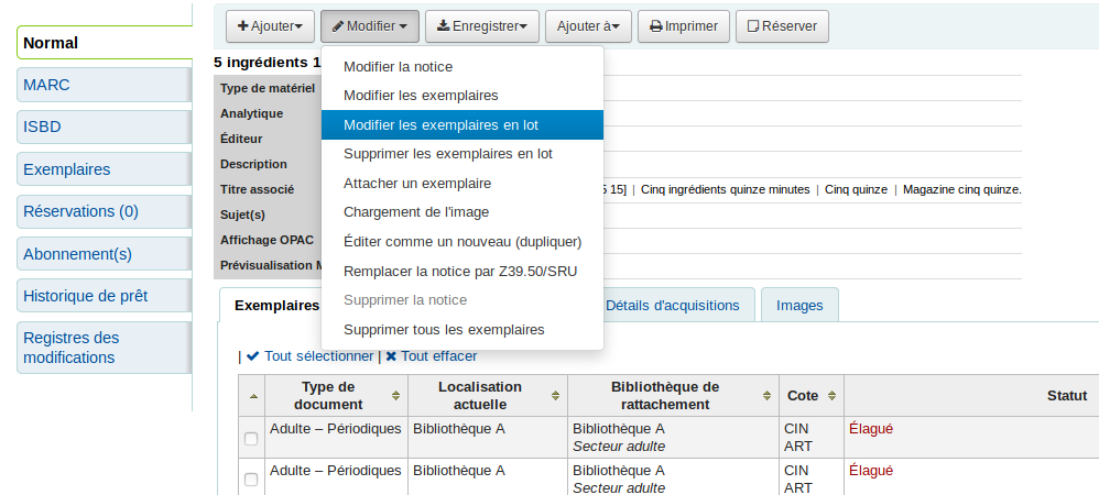 Option «Modifier les exemplaires en lot» du bouton modifier d'une notice