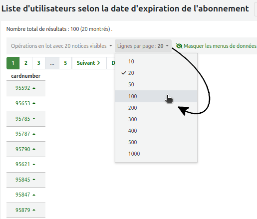 vue du menu "Lignes par page" et du choix de "100" résultats