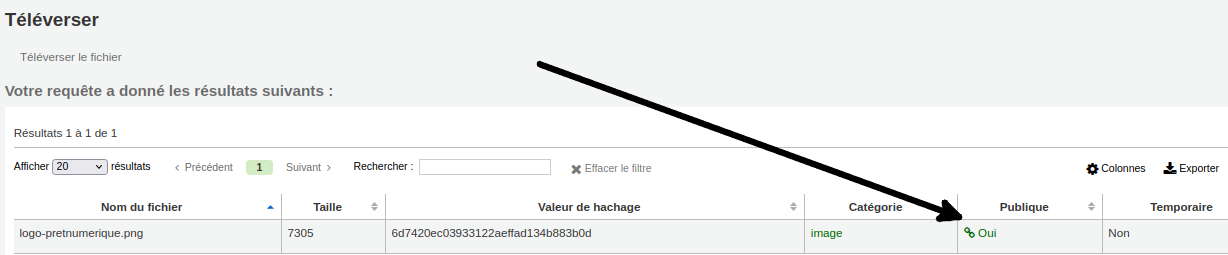 vue de l'icône "lien" dans la colonne "Publique" du fichier de l'image