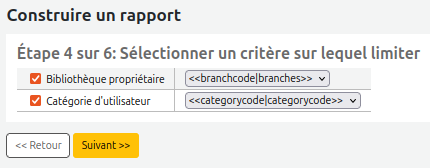 vue de limite "bibliothèque" et "catégorie d'utilisateur" à l'étape 4 du rapport guidé