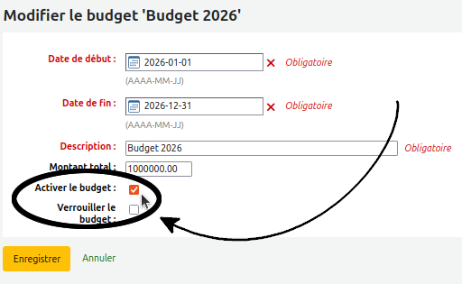 vue de la case à décocher "Activer le budget"