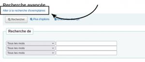 Capture d'écran du formulaire de recherche avancée, le lien vers la recherche d'exemplaires et mis en évidence