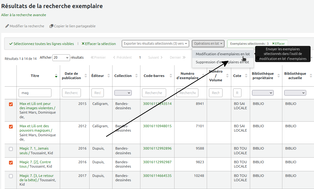 vue de l'option "Modification d'exemplaires en lot" du bouton "Opérations en lot"