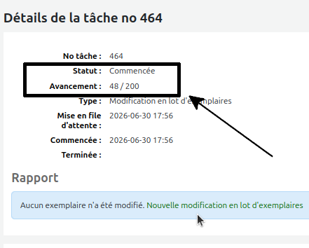 vue du statut "Commencé" et avancement égale à 48 / 200 d'une tâche de modification d'exemplaires en attente.