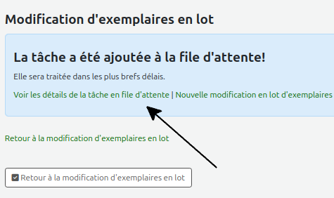 vue de la page "Modification d'exemplaires en lot > La tâche a été ajoutée à la file d'attente!"