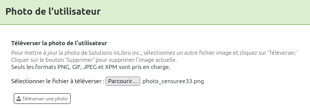bouton de téléversement de fichier de photo
