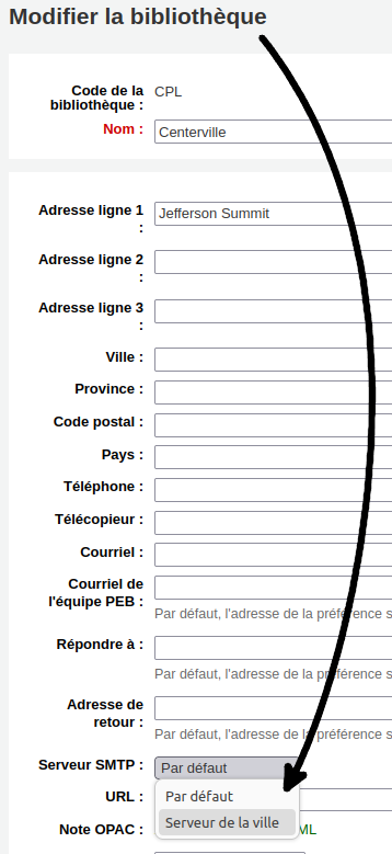 vue du paramètre «Serveur SMTP» dans le formulaire de modification de bibliothèque