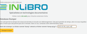 vue de l'interface de l'extension database dumper
