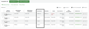 Tableau des exemplaires dans une notice détaillée à l'intranet. La colonne Localisation est mise en évidence.