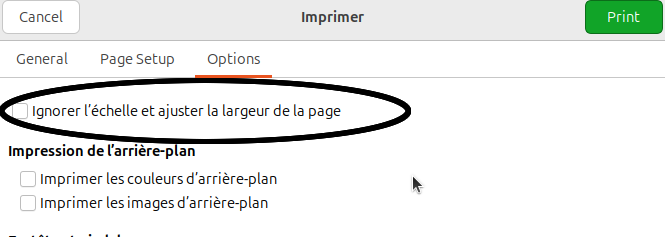 vue de la case à décocher "ignorer l'échelle" des options "imprimer dans le mode de boîte de dialogue"